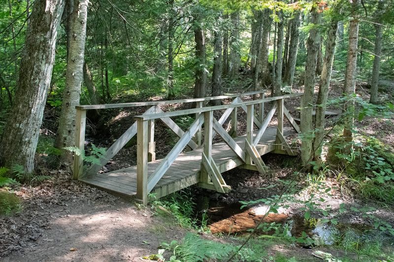 An Easy Walk With a Big Payoff