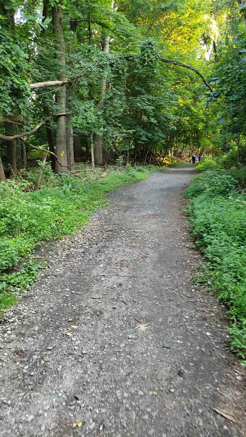 An Old Railroad Route Finds New Life An Old Railroad Route Finds New Life