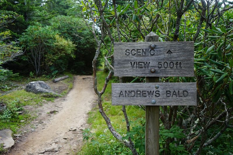 Andrews Bald via Forney Ridge Trail Andrews Bald via Forney Ridge Trail