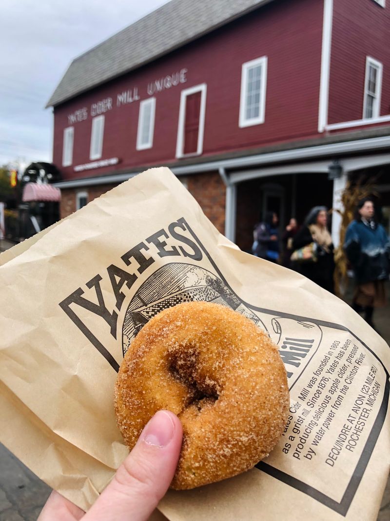 Apple Cider Donuts From Michigan Cider Mills Apple Cider Donuts From Michigan Cider Mills