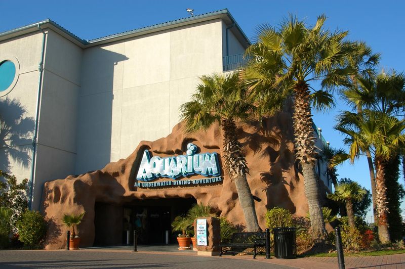 Aquarium Restaurant (Kemah) Aquarium Restaurant (Kemah)