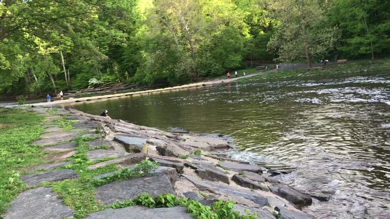 Art, Theater, And Culture In The Park