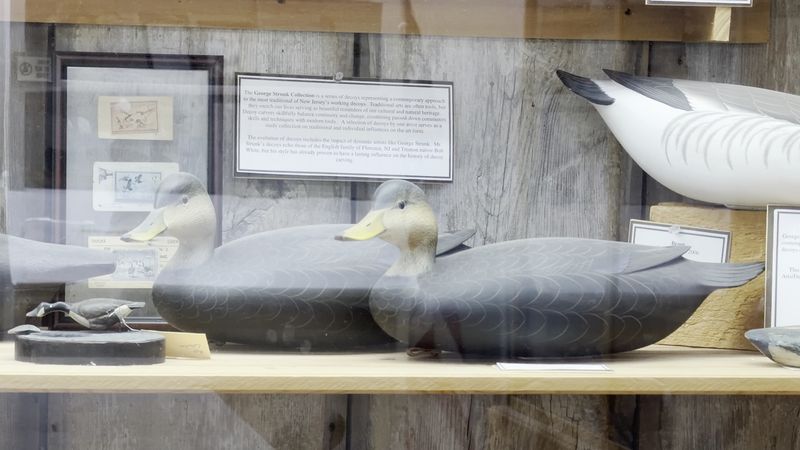 Artifacts That Bring New Jersey's Seafaring Past to Life Artifacts That Bring New Jersey's Seafaring Past to Life