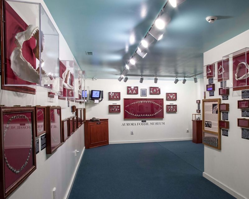 Aurora Fossil Museum