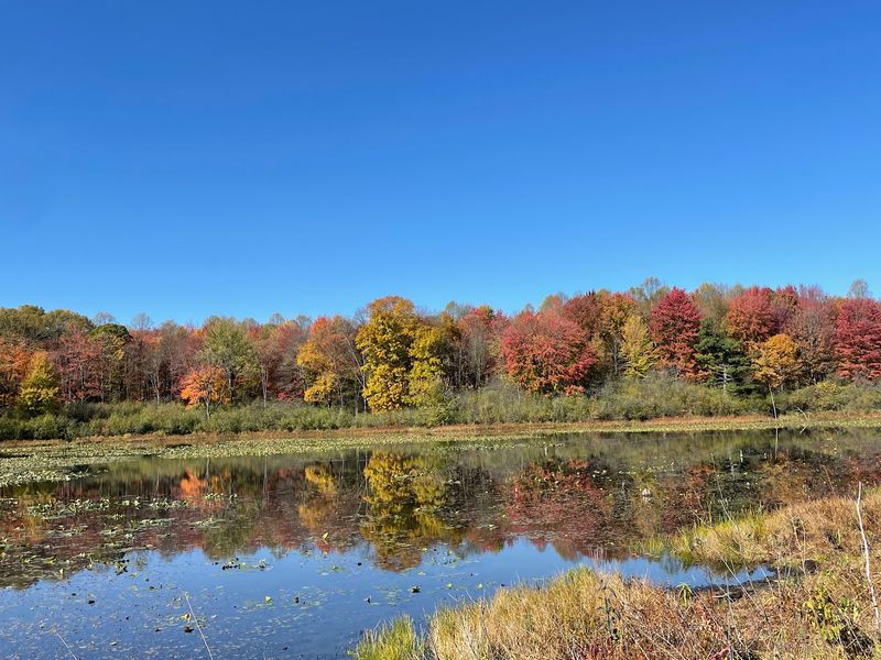 Aurora, Portage County
