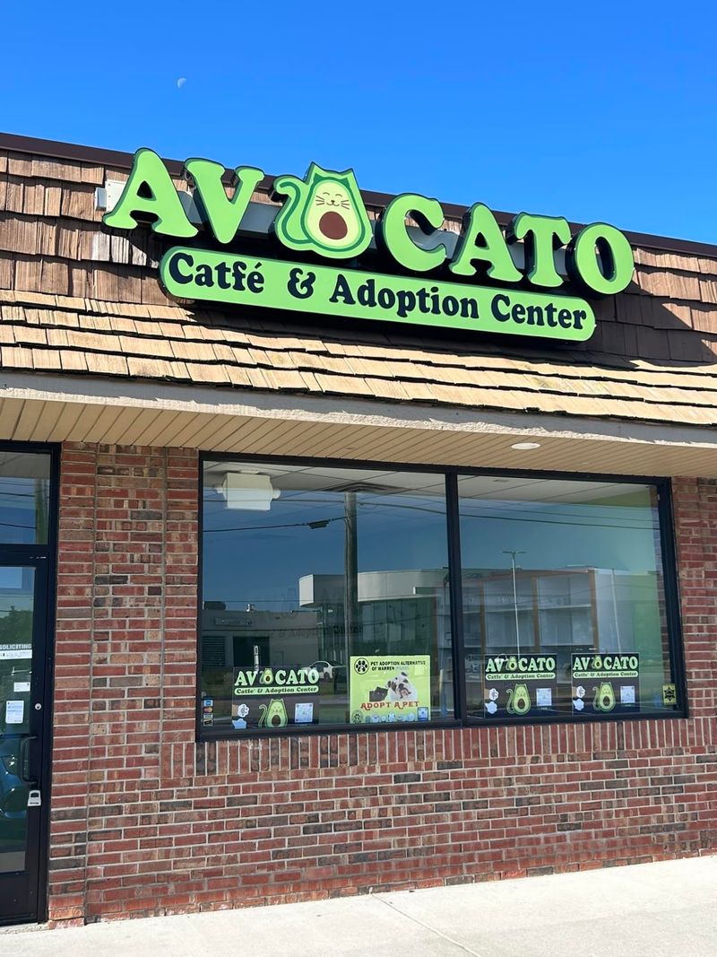 Avocato Catfé & Adoption Center - Farmington Hills Avocato Catfé & Adoption Center - Farmington Hills
