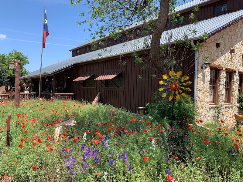 Award-Winning Vineyard and Wine Tasting Room Award-Winning Vineyard and Wine Tasting Room