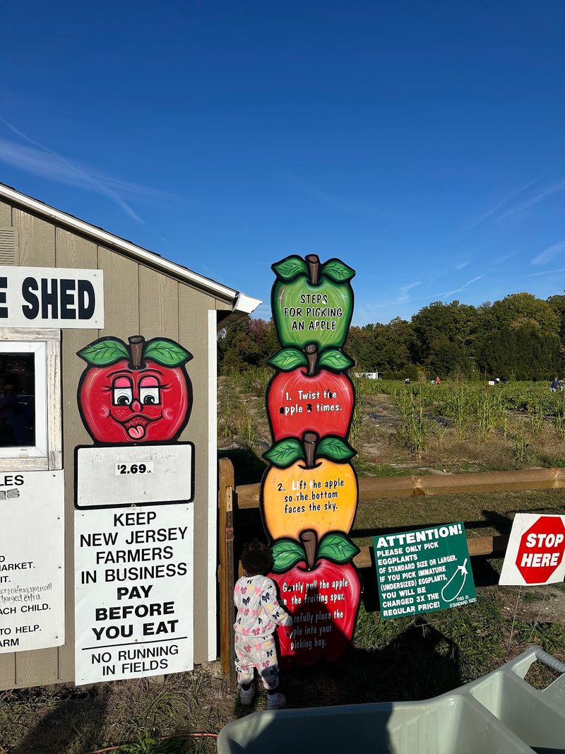 Baked Goods, Local Honey, and Fruit Spreads Round Out the Market