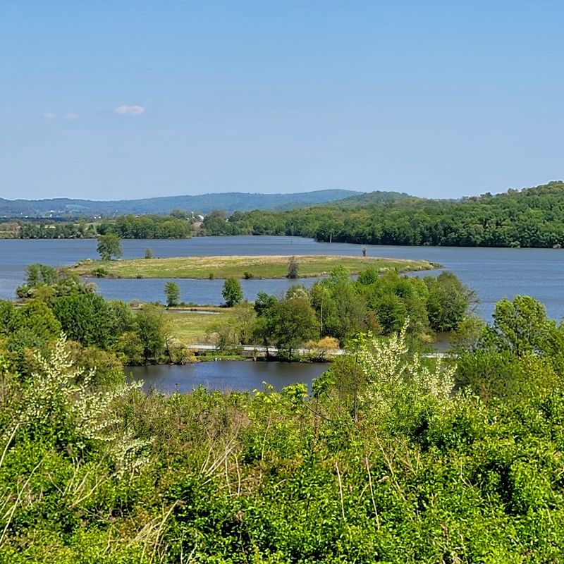 Bald Eagles Add a Thrill to the Reservoir Views