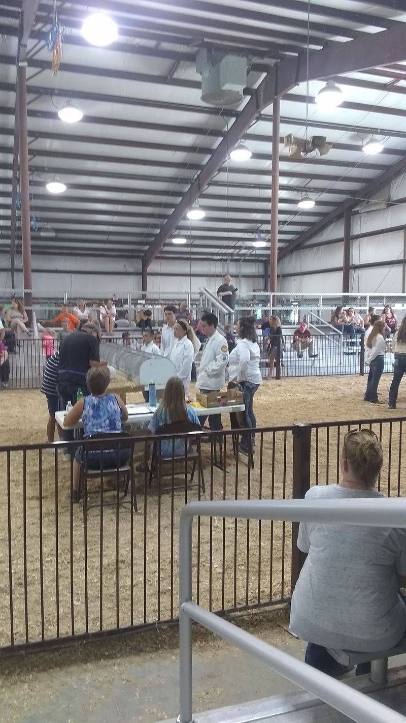 Barns Full of Animal Pride Barns Full of Animal Pride