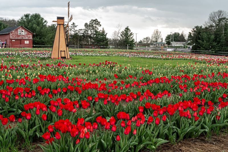 Beautiful Grounds That Stretch The Visit