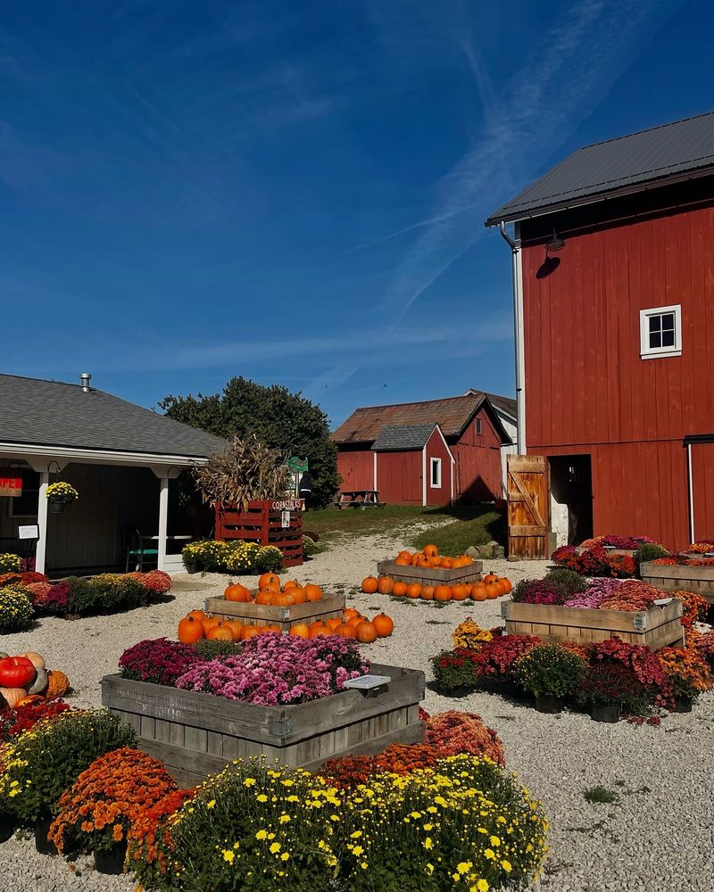 Beckwith Orchards Cider Mill, Kent