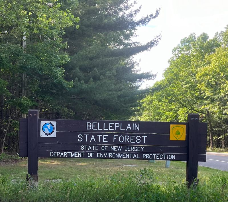Belleplain State Forest Belleplain State Forest