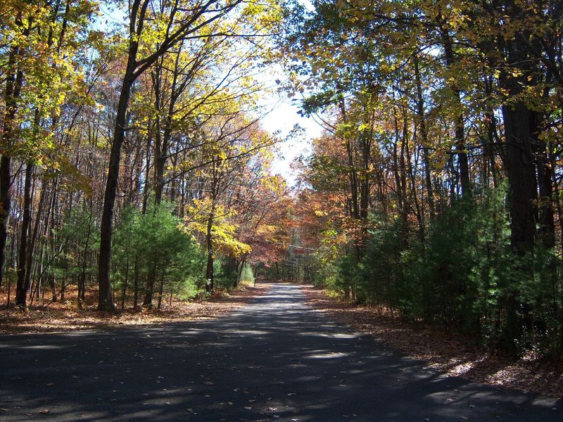 Beltzville State Park Beltzville State Park