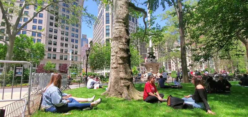 Benches That Turn a Busy Day Into a Pause