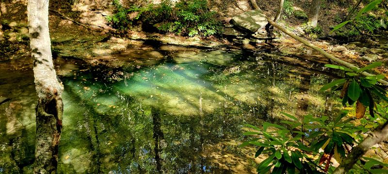 Best Manners for Keeping Blue Hole Beautiful