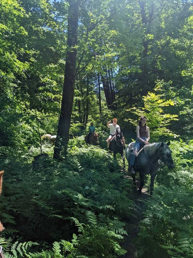 Best Times to Ride Near Evart