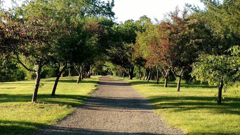 Best Times to Visit for a Calmer, Easier Playground Outing