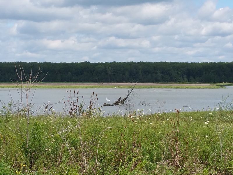Big Island Wildlife Area, New Bloomington
