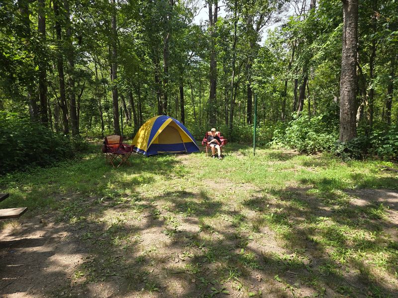 Big Piney Campground Mark Twain NF - Houston, MO
