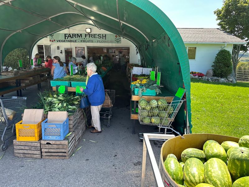 Bill's Farm Market - Petoskey Bill's Farm Market - Petoskey