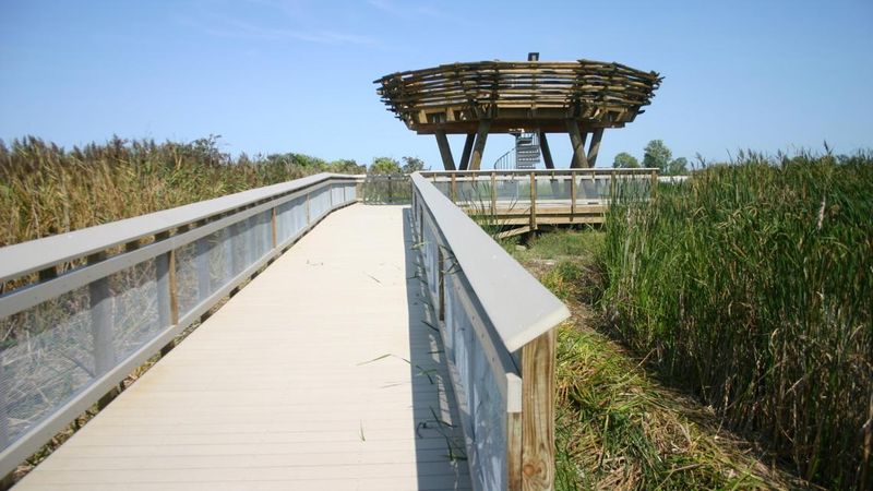 Bird’s Nest Observation Tower at Maumee Bay State Park, Oregon