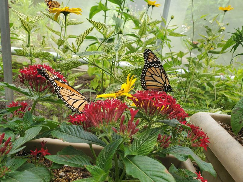 Blooming Garden Spaces Add Color To Every Season Blooming Garden Spaces Add Color To Every Season