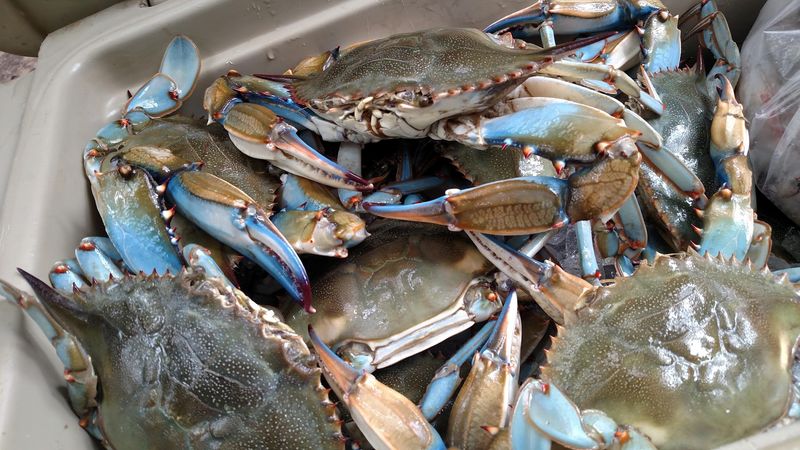 Blue Crab Claws Worth the Friday Afternoon Rush