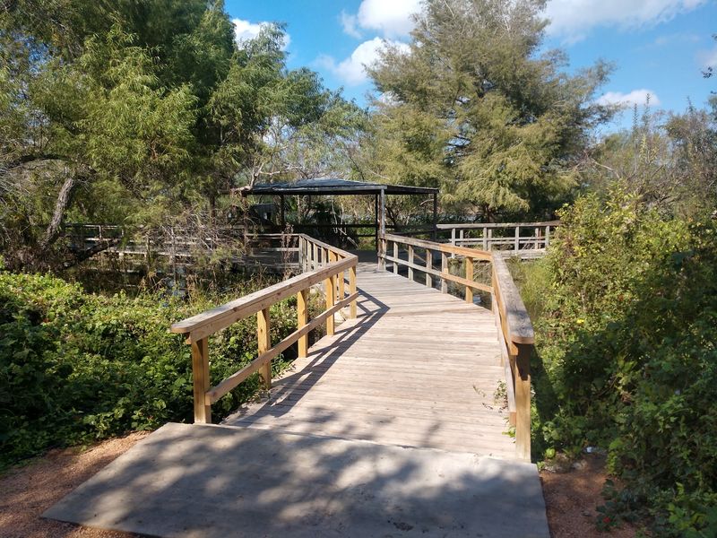 Boardwalk Trails Through Wetland Habitats Boardwalk Trails Through Wetland Habitats