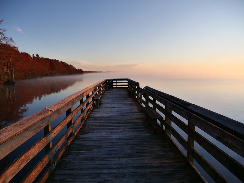 Boardwalk Views Make Nature Easy To Reach Boardwalk Views Make Nature Easy To Reach