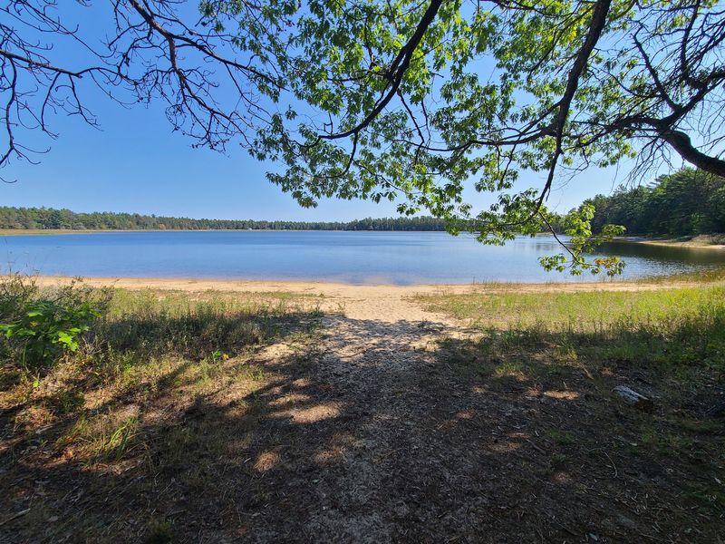 Bodi Lake State Forest Campground