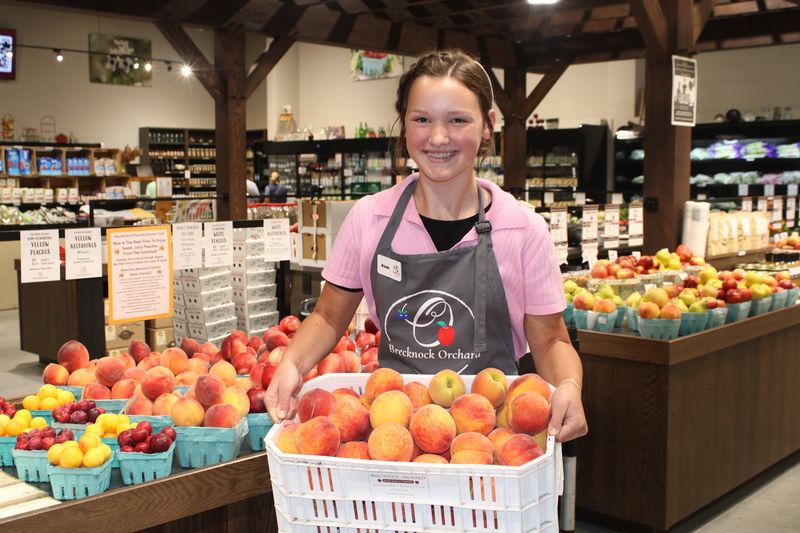 Brecknock Orchard’s Apple Ridge Bakery Brecknock Orchard’s Apple Ridge Bakery