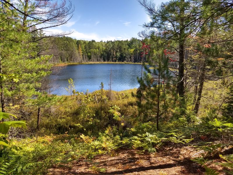 Bruno’s Run Trail