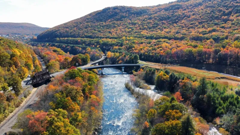Bushkill Bushkill