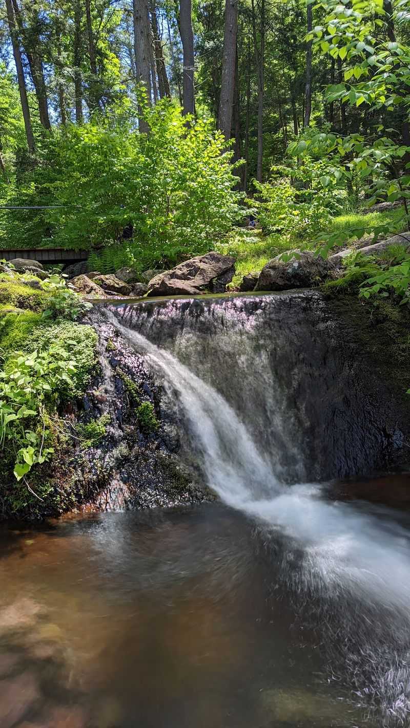 Buttermilk Falls - Layton