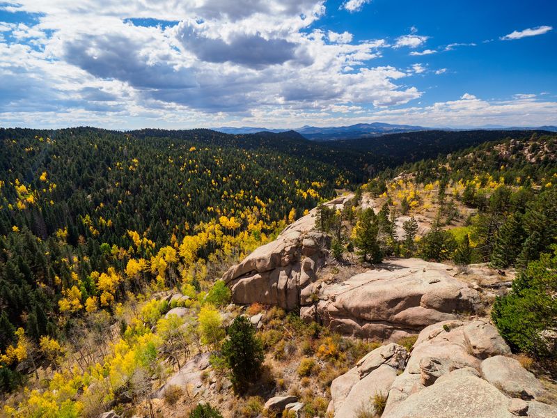 Mueller State Park Mueller State Park