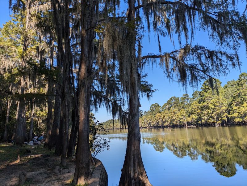 Caddo Lake State Park (Karnack)