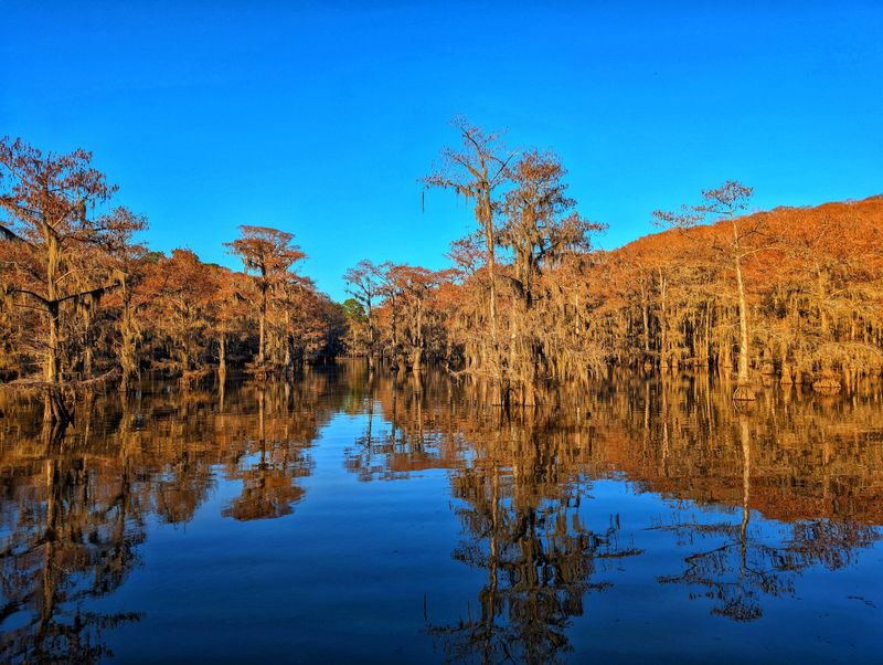 Caddo Lake State Park