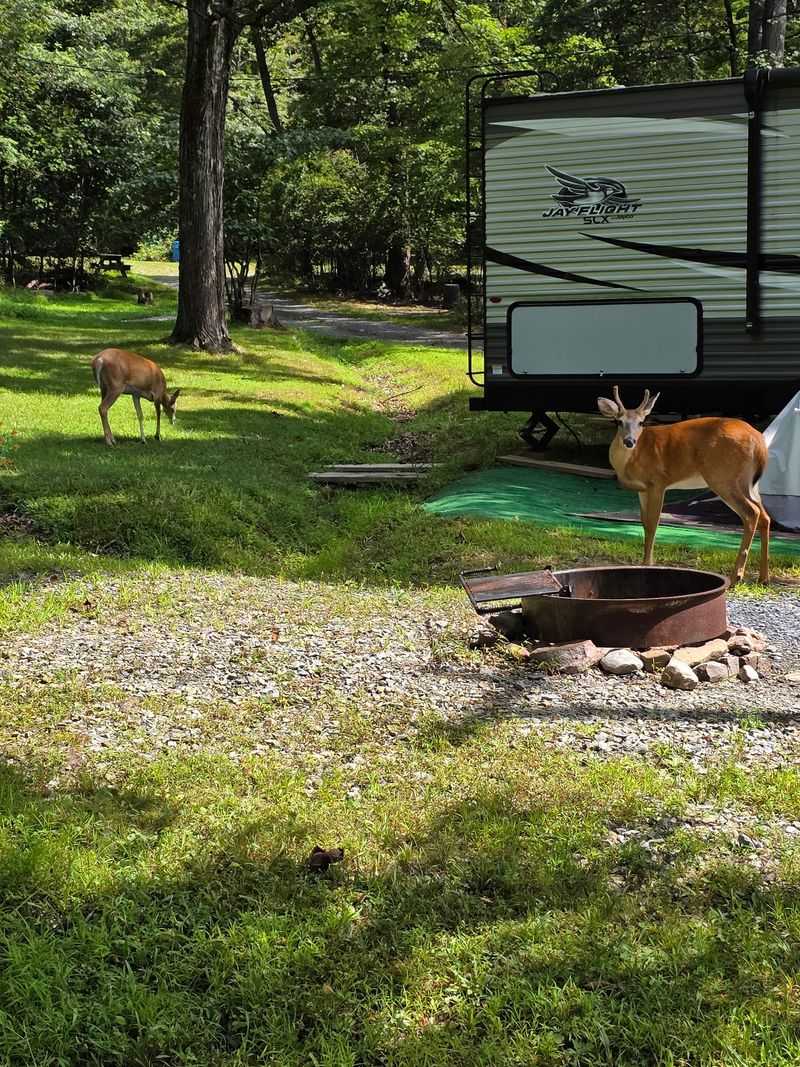 Camp Taylor Campground Camp Taylor Campground