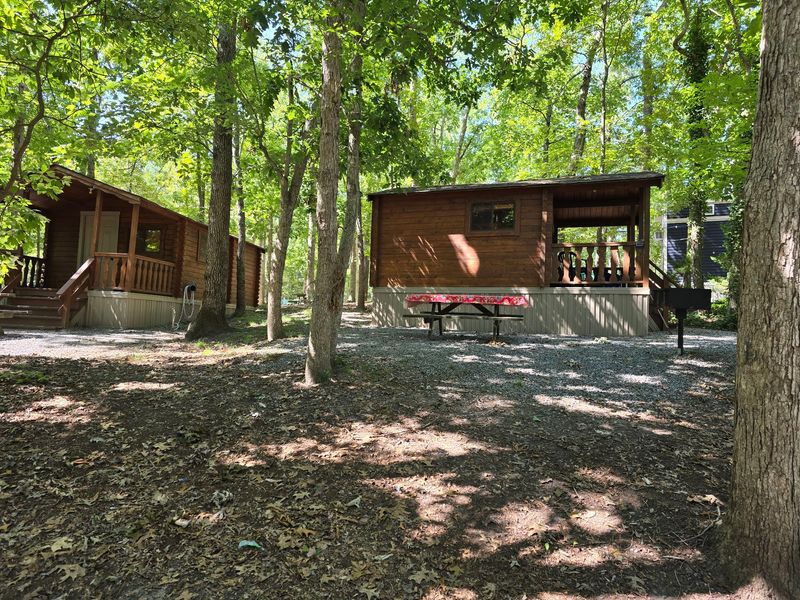 Camping Options for Every Kind of Getaway Camping Options for Every Kind of Getaway