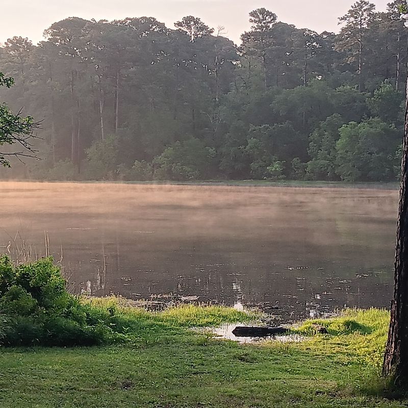 Camping Sites Provide Privacy That Crowded Parks Can't Match
