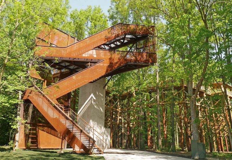Canopy Walk Observation Tower At Blacklick Woods Metro Park, Reynoldsburg