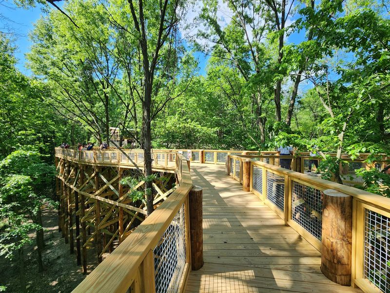 Canopy Walk Viewing Platform at Blacklick Woods Metro Park, Reynoldsburg