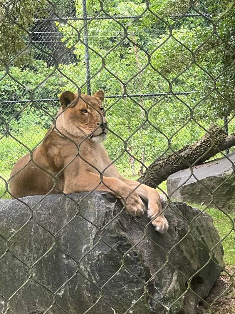 Cape May County Park and Zoo Cape May County Park and Zoo