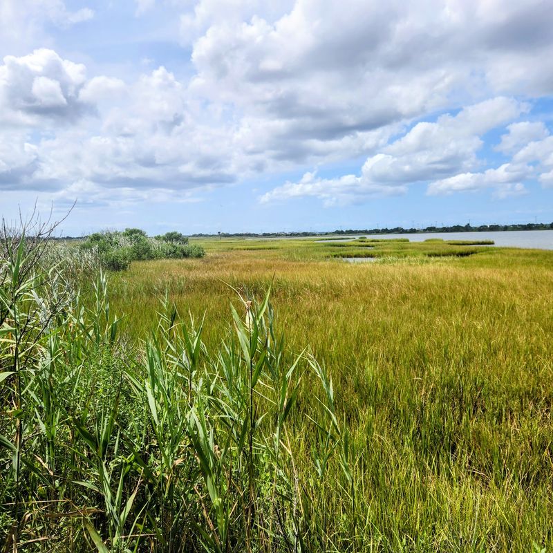 Cape May National Wildlife Refuge - Middle Township Cape May National Wildlife Refuge - Middle Township