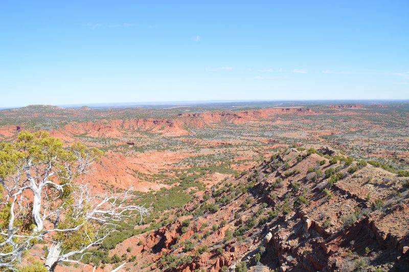 Caprock Canyons State Park - Upper Canyon / Haynes Ridge Trail (Quitaque)