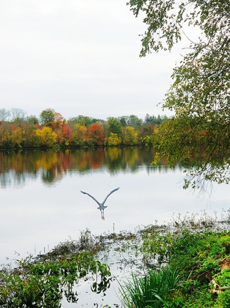 Carnegie Lake - Princeton Carnegie Lake - Princeton