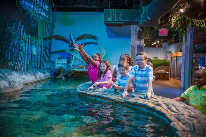 Catawba Science Center (Hickory) Catawba Science Center (Hickory)