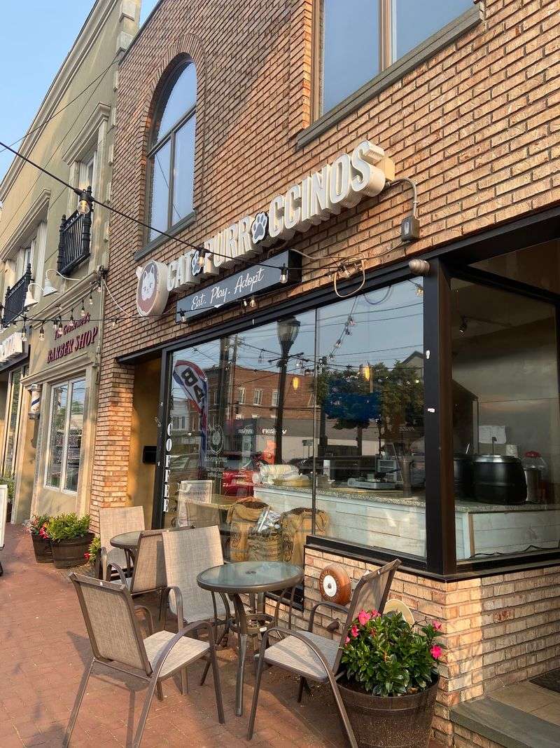 Catpurrccinos - 322 Main St, Huntington, NY 11743