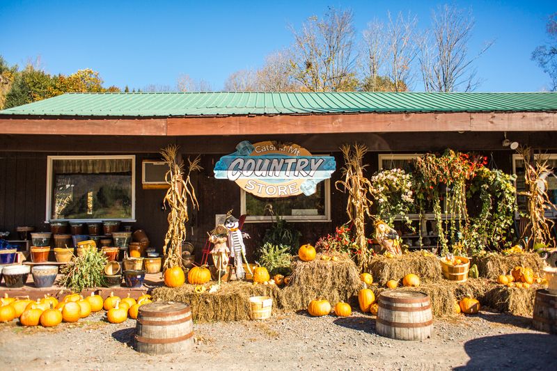 Catskill Mountain Country Store & Restaurant, Windham, Greene County